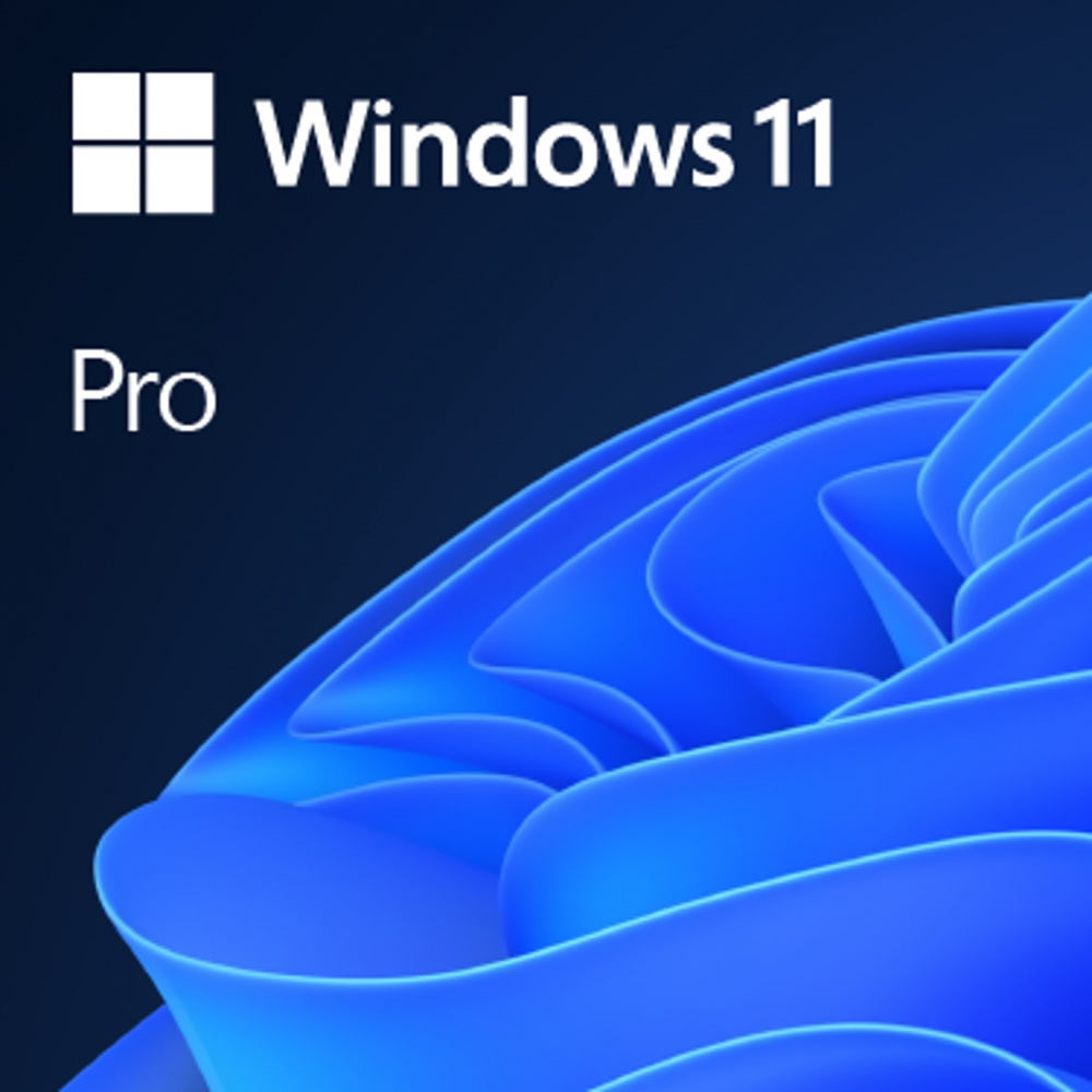 OEM KIT DE LEGALIZACION WIN 11 PRO GGK 64BIT SPANISH LATAM 1PK