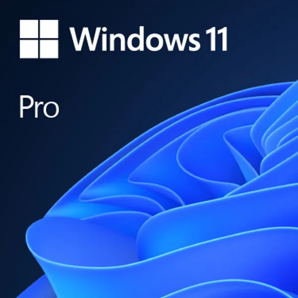OEM KIT DE LEGALIZACION WIN 11 PRO GGK 64BIT SPANISH LATAM 1PK