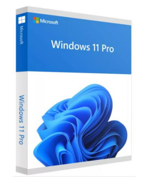OEM WIN 11 PRO 64BIT SPANISH LATAM 1PK DSP OEI DVD