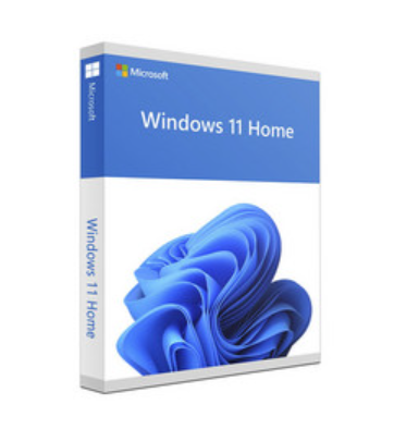 OEM WIN 11 HOME 64BIT SPANISH LATAM 1PK DSP OEI DVD