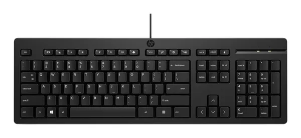 TECLADO ALAMBRICO HP 125 USB-A 180CM NEGRO 50 RECICLADO 1YW