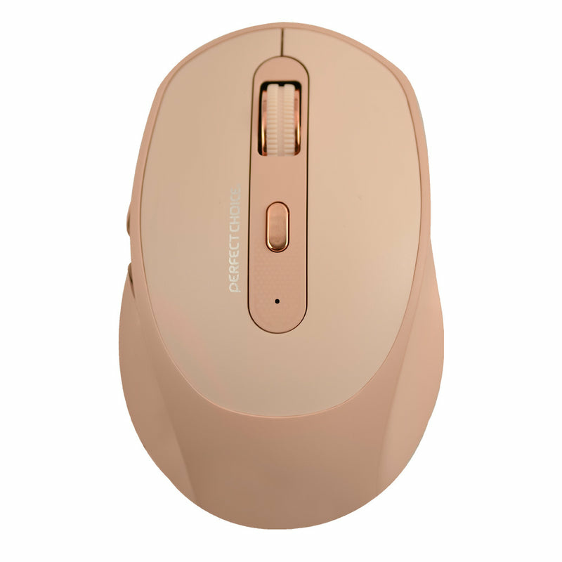 RATON INALAMBRICO RECARGABLE CAQUI