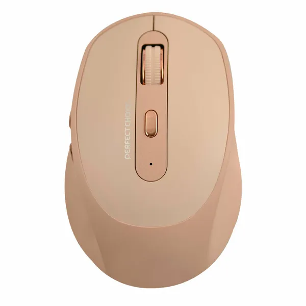 RATON INALAMBRICO RECARGABLE CAQUI